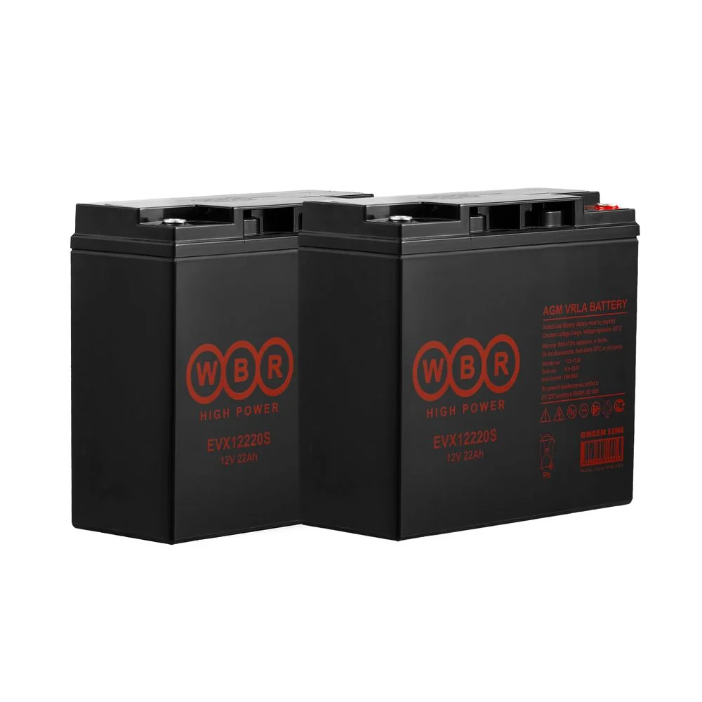 Аккумулятор (12V 22Ah) для Pulse 110 Ortonica